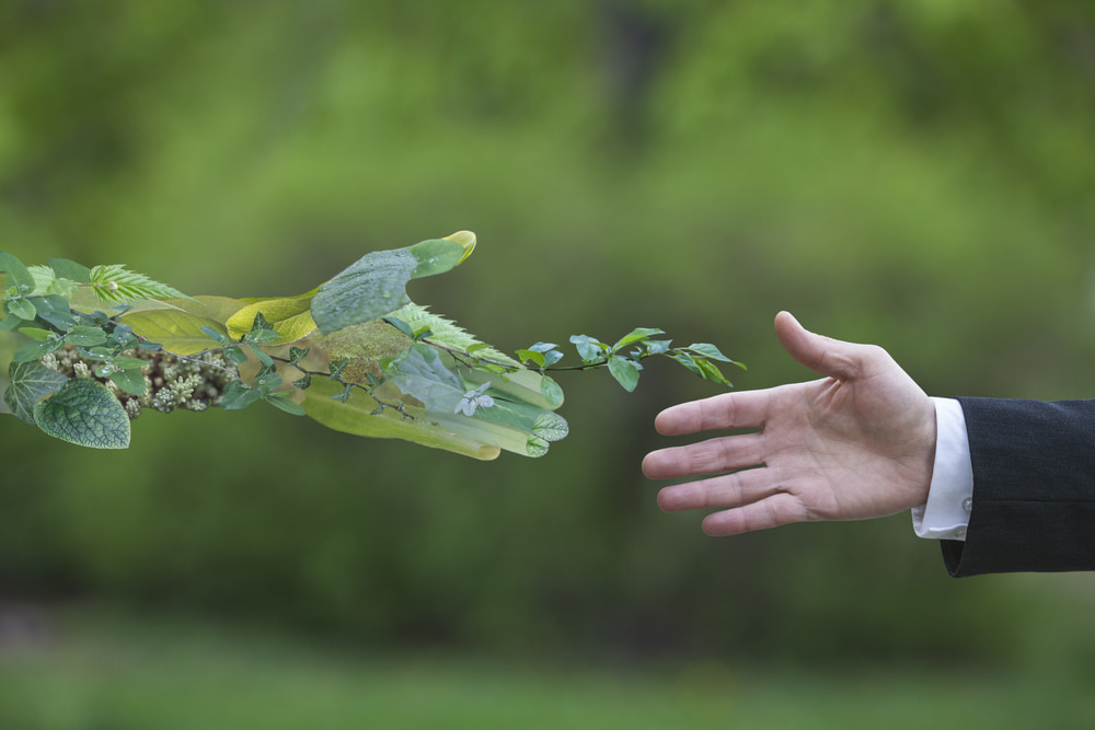 Uma mão artificial simbolizando o meio ambiente cumprimentando uma mão humana.
